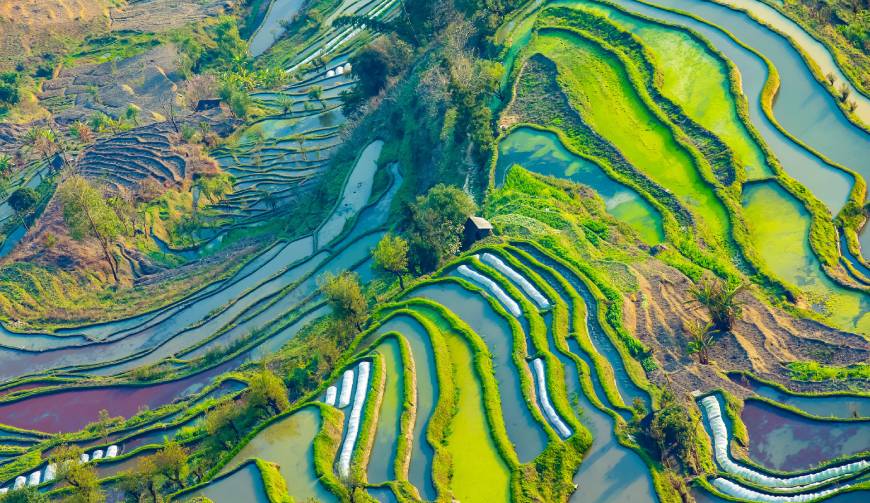 宝妈必备神器：朝天区产品视频拍摄轻松育儿好帮手