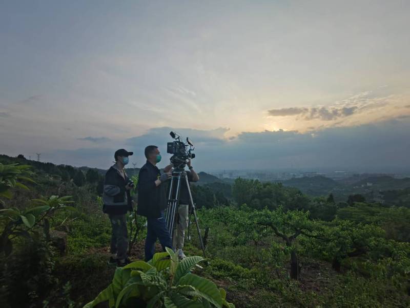 创意破圈！朝天区电商产品宣传视频用故事化叙事引爆流量