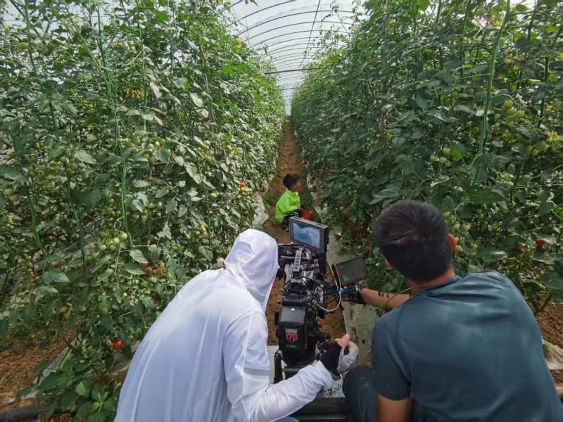 朝天区产品宣传视频拍摄公司进阶指南，助力品牌抢占传播高地